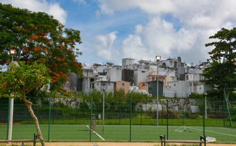 Sports ground with a green surface in the background of the cemetery Stock Photos