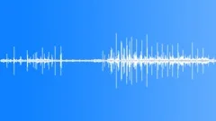 Sports Polo Sports Polo Crowd Reaction Claps Applause Comments @ Tail Medium ClSound Effect
