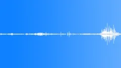 Sports Polo Sports Polo Crowd Reactions Adults Walla Players Voices Horses GallSound Effect
