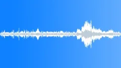Sports Polo Sports Polo Match Play Interrupted Players Voices Referee Sound Effect