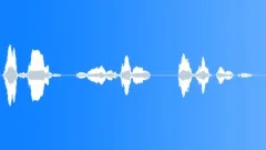 Sports voice clip Sound Effect