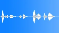 Sports voice clipSound Effect