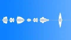 Sports voice clip Sound Effect