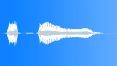 Sports voice clip Sound Effect