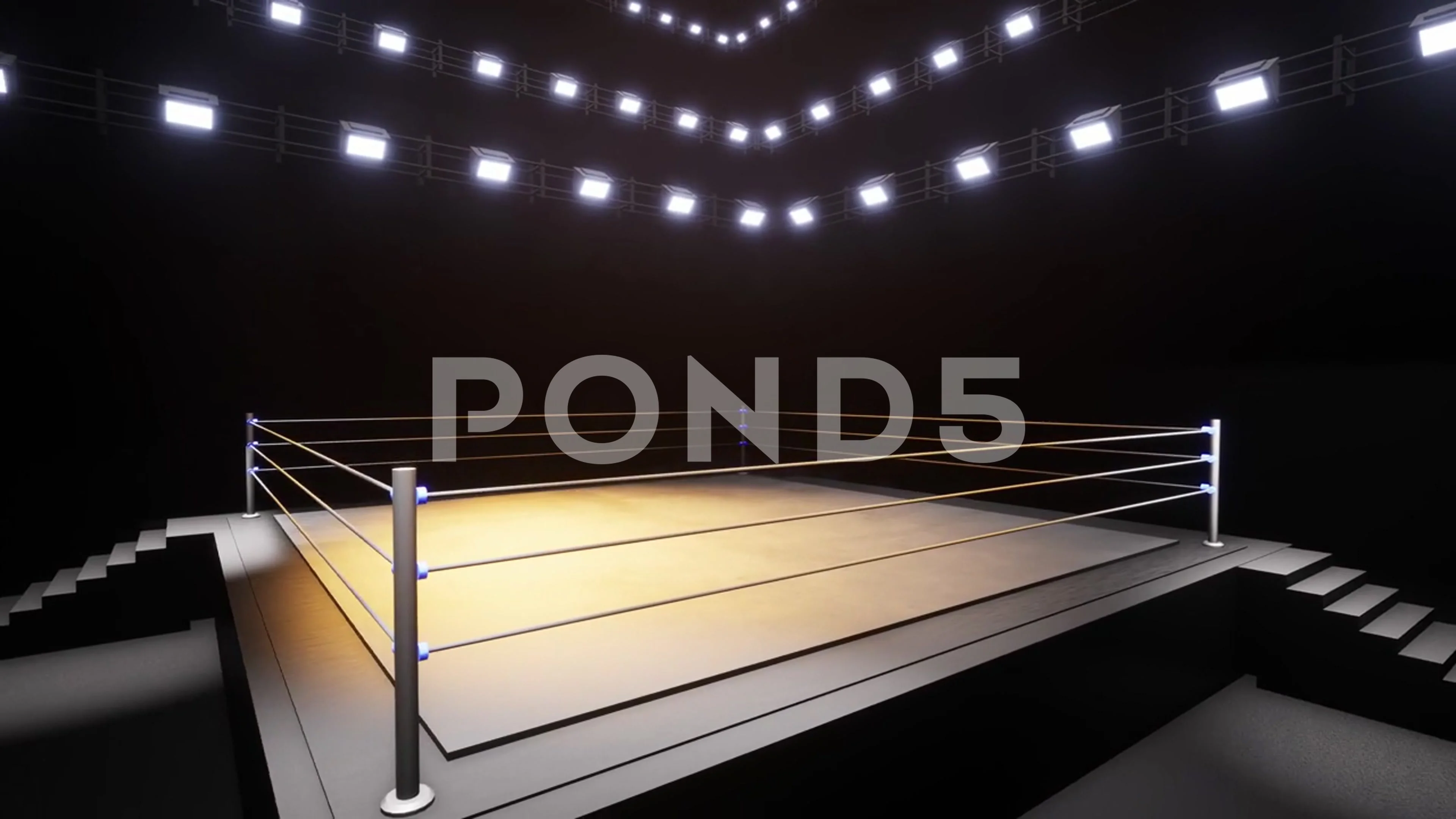 Sports wrestling and boxing. Sport 4K pr... | Stock Video | Pond5