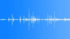 Sports Wrestling Crowd Ringside Voices Kids - various reactions from mixed crowSound Effect