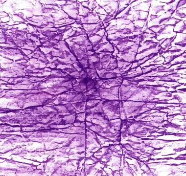 Spot Stock Illustration