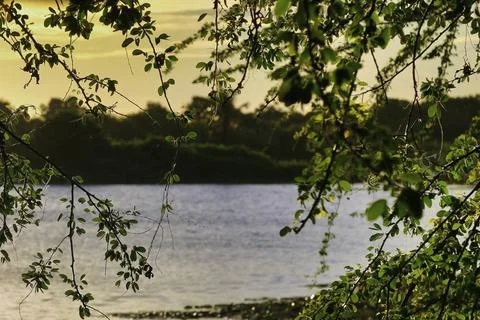The spot on the lake Stock Photos