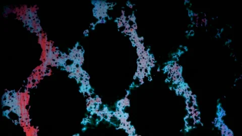 Spot Motion 库存影片 139359231