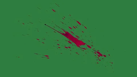Spot Moving On Green Screen Chroma Key Background Stock Footage 338018130