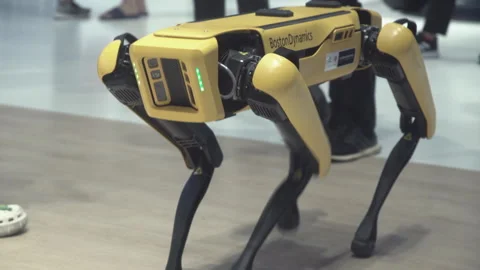 SPOT, the robot dog by Boston Dynamics e... | Stock Video | Pond5