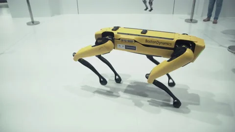 SPOT, the robot dog by Boston Dynamics. Stock Video Pond5