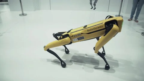 SPOT, the robot dog by Boston Dynamics. | Stock Video | Pond5