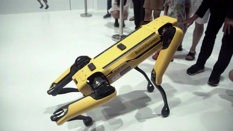 SPOT, the robot dog by Boston Dynamics. Stock Footage 237643256