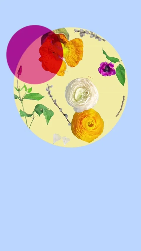 Spotify Canvas : Vertical : Seamless loop : Flower Art Stock Footage 166163931