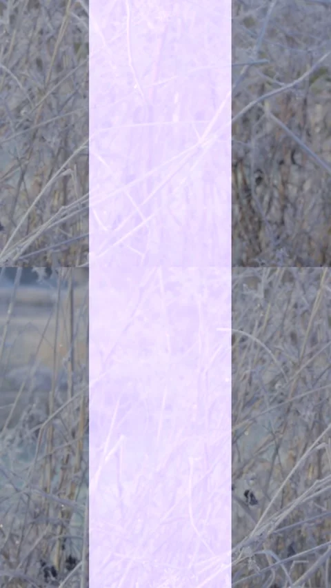 Spotify Canvas : Vertical : Seamless loop : winter : simple animation Stock Footage 166163982