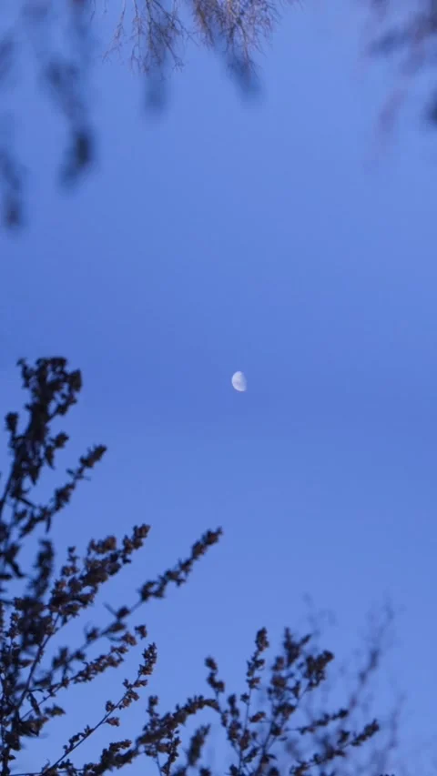 Spotify Canvas : Vertical : Seamless loop : Moon rise reverse Stock Footage 166163984