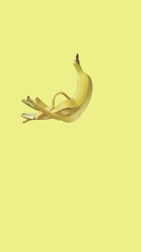 Spotify Canvas : Vertical : Seamless loop : Banana Octopus Stock Footage 166177005