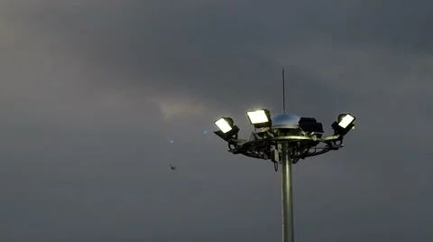 Spotlight and bird in the evening Stock Footage 52145238