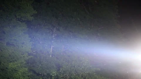 Spotlight and Insects (Background Element) Stock Footage 22241231