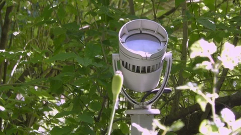 Spotlight in the park Stock Footage 91250046