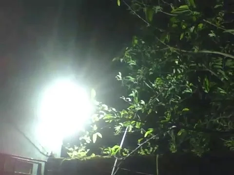Spotlight reflector illuminates the count's fruit tree, while a little rain Stock Footage 158963693