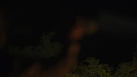 Spotlight tracker or ranger Spotlight looking for animals at night on Safari 動画素材 122045409