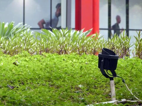 A Spotlight under a Tree Stock Photos