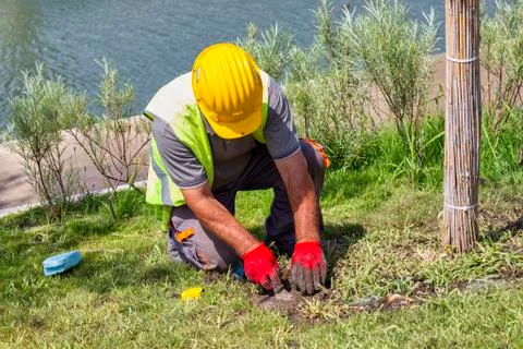 Spots lights at bottom of tree Stock Photos