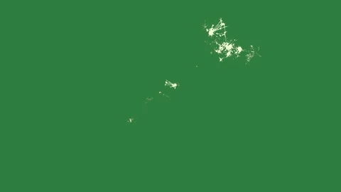 Spots Moving On Green Screen Chroma Key Background Stock Footage 338014984