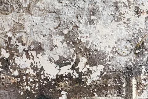 Spots of a paint Illustrazione stock