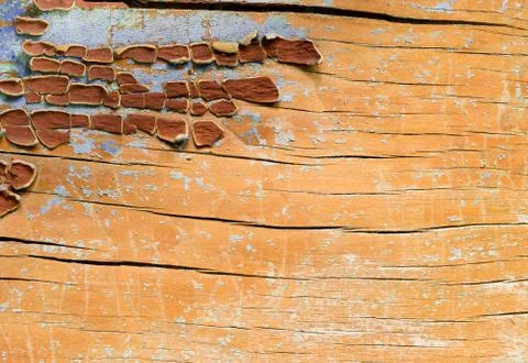 Spots of paint on wooden surface. Stock Photos