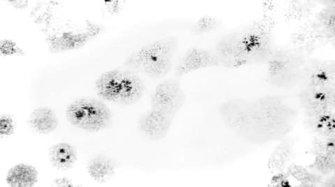 The spots on the paper Video stock 68518331