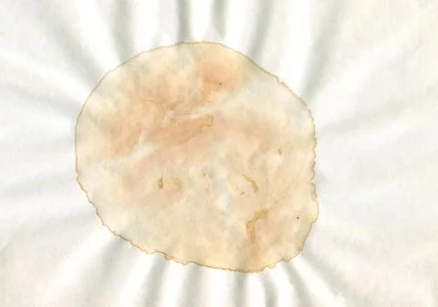 Spots on white background. 스톡 사진