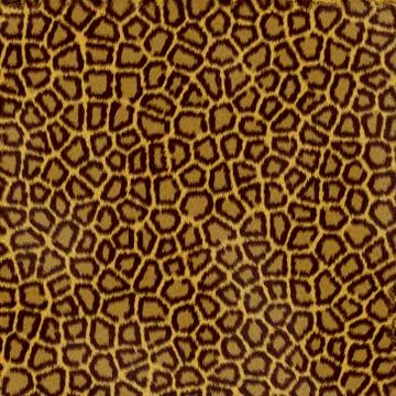 Spotted background wildlife Stock Illustration