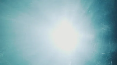 Spotted Eagle Ray Stock Footage 148658318