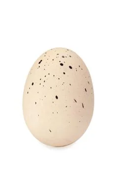 Spotted easter egg Stock Photos