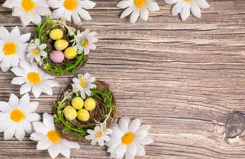 Spotted Easter eggs in nests. Available copy space. Stock Photos