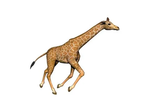 Spotted giraffe with a long neck in the steppe of Africa Stock Illustration