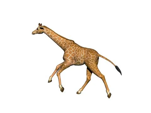 Spotted giraffe with a long neck in the steppe of Africa Stock Illustration
