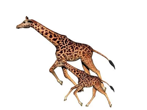 Spotted giraffe with a long neck in the steppe of Africa Stock Illustration