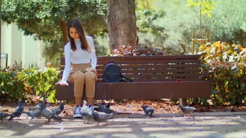 Spotted gray Pigeon brushing its feathers in the Park. Stock Footage 147523715
