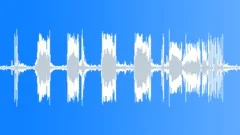 Spotted hyenas vocalization Sound Effect