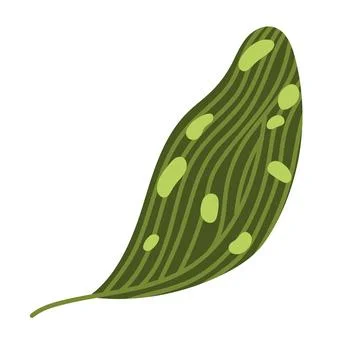 Spotted leaf plant Stock Illustration