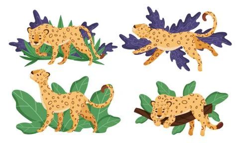 Spotted Leopard Having Rest Near Tropical Foliage and Lying on Tree Branch イラスト素材