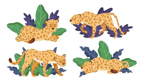 Spotted Leopard Having Rest Near Tropical Foliage Vector Illustrations Set Stock Illustration