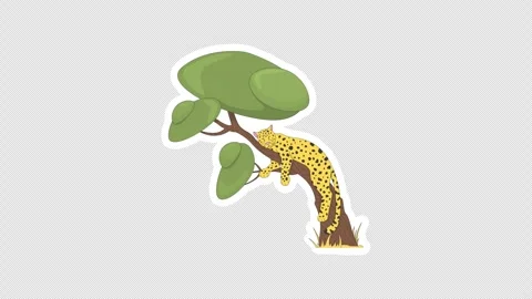 Spotted leopard resting on tree digital sticker animation Stock Footage 332222875