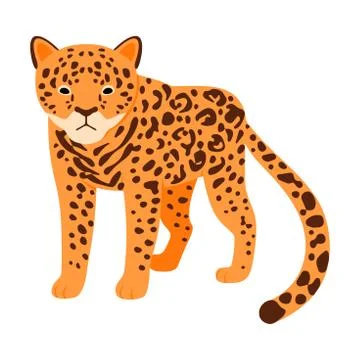 Spotted Leopard. Vector illustration on a white background. Stock Illustration
