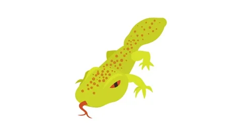 Spotted lizard icon animation Stock Footage 168928042