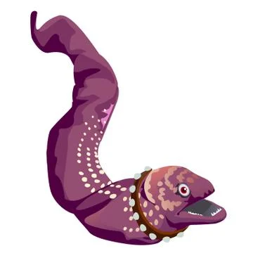 Spotted moray eel with a collar with spikes isolated on a white background Stock Illustration